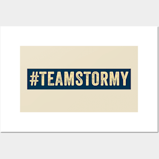 Team Stormy // Logo Box Oil Paint Style Posters and Art